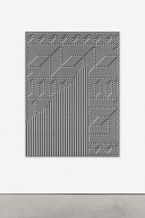 Tauba Auerbach - Shadow Weave - Chiral Fret Wave, 2015