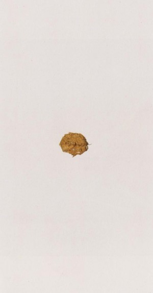 Joseph Beuys - Suite Zirkulationszeit: Bär (Suite Circulation Time: Bear), 1982, lithograph on white wove